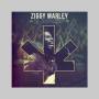 Ziggy Marley - In Concert