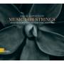 Doug Lofstrom - Music For Strings