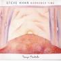 Steve Khan - Borrowed Time