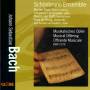 Schnbrunn Ensemble - MUSIKALISCHES OPFER,BWV 1079