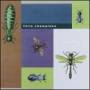 Little Champions - Pillow