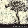 David Lewis - For Now