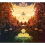 Weedpecker - III (180 Gr. / Colored Vinyl / MP3-Code)