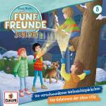 Fnf Freunde Junior - Folge 8: Die verschwundenen Weihnachtspckchen/Das
