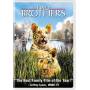 TWO BROTHERS (2004) / (DOL WS) - Two Brothers (2004) [US-Version, Regio 1]