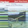 Joel Harrison - Harbor