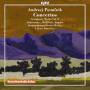 Konzerthausorchester Berlin / Lukasz Borowicz - Symphonische Werke Vol.8
