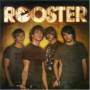 Rooster - Rooster