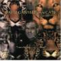 David Garfield - I Am The Cat Man