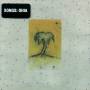 Songs:Ohia - Impala