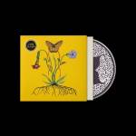 John Glacier - Like A Ribbon