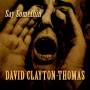 david Clayton-thomas - Say Somethin'
