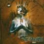 The Duskfall - Source