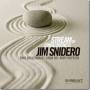 Jim Snidero - Stream Of Consciousness