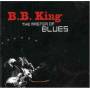 B. B. King - Master Of Blues