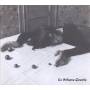 Le Volume Courbe - I Wish Dee Dee Ramone Was Here With Me