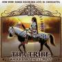 Tha Tribe - Warriors In The Mist