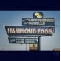 Jermaine Landsberger & Paulo Morello - Hammond Eggs