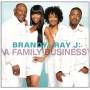 Brandy & Ray J - Family Business