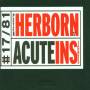Peter Herborn - Acute Insights