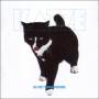 Katze - Du bist meine Freunde
