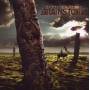 Brainstorm - Memorial Roots
