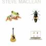 Steve Maclean - Frog Bug Guitar Computer