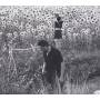 Jesu / Sun Kil Moon - Jesu/Sun Kil Moon