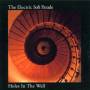 The Electric Soft Parade - HOLES IN THE WALL