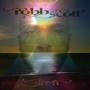 Robb Scott - Siren
