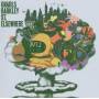 Gnarls Barkley - St.Elsewhere
