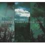 If These Trees Could Talk - Above The Earth,Below The Sky