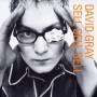 David Gray - Sell,Sell,Sell
