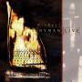 Michael Nyman - Live