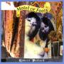 Robert Pollard - Motel Of Fools