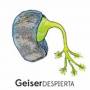 V / A - Geiser-despierta / Various