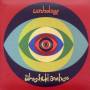 Whitefield Brothers - Earthology