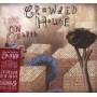 Crowded House - Time On Earth-Special Edition [US-Version, Regio 1/A]