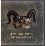Jethro Tull - Curious Ruminant