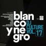 Various - Blanco Y Negro DJ Culture Vol.17