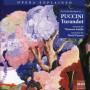 David Timson - An Introduction To Turandot