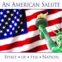 V / A - An American Salute