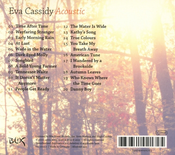 Acoustic 1