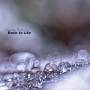 Steve Roach - Back To Life -digi-