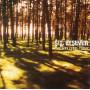 Six By Seven - The Way I Feel Today