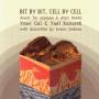 Yoav Gal / yael Kanarek - Bit By Bit Cell By Cell