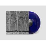 Pile - SUNSHINE AND BALANCE BEAMS (Transparent Col Vinyl)