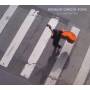 Renaud Garcia-Fons - La Linea Del Sur