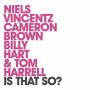 V / A - Is That So?