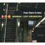 Budman / Levy Orchestra - From There To Here